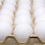 much white raw eggs in shell on tray