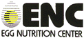 ENC logo